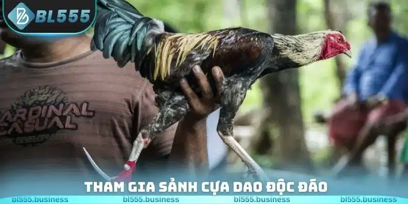 Cách xem tướng chiến kê