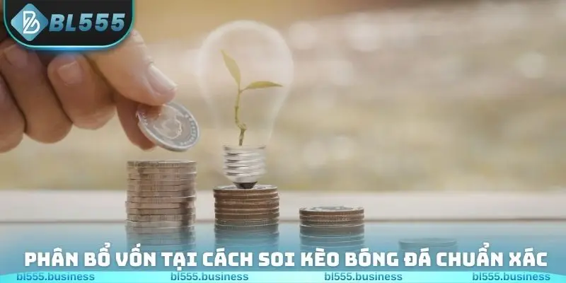 Phân bổ vốn tại cách soi kèo bóng đá chuẩn xác