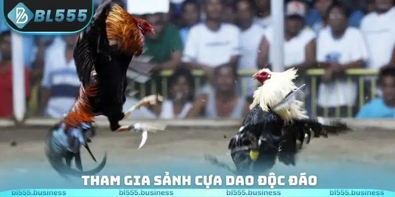 Tham gia sảnh cựa dao độc đáo