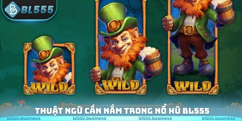 Thuật ngữ cần nắm trong Nổ hũ BL555