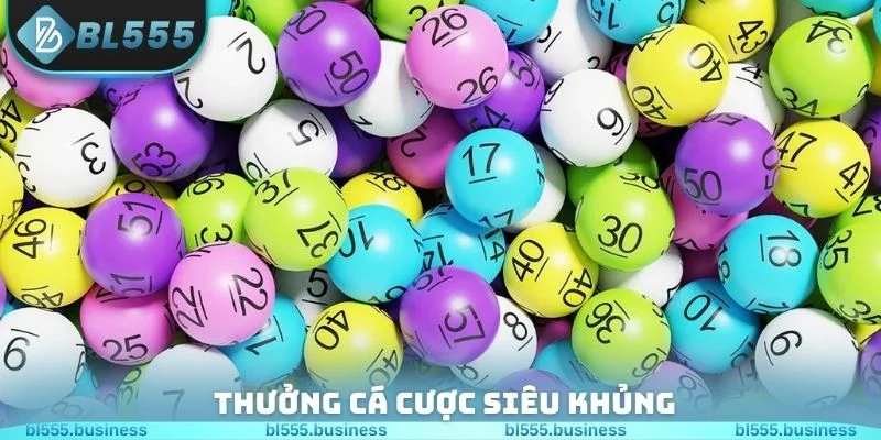 Thưởng cá cược siêu khủng